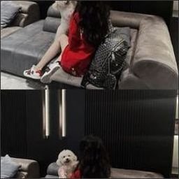 Sesmynath60j's profile picture. The  pinyin  for  insomnia  is  "shi  mian",  and  the  pinyin  for  sleep  is  "shui  mian"    It's  just  that  one  "u"  is  missing  for  insomnia