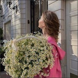 Ywheaalchee422's profile picture. 