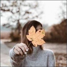 TheytousWBUtLZ's profile picture. 