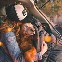 Surlov6qfN's profile picture. 