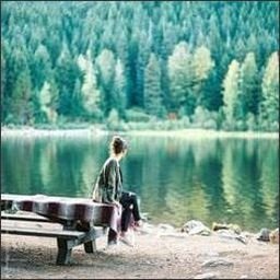 Morsger773459's profile picture. 