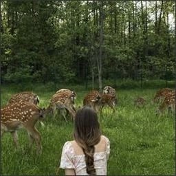 BlurthoysmHSo's profile picture. 