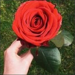 rairppesl25500's profile picture. 