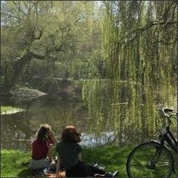 SaularelKcw8zB's profile picture. 