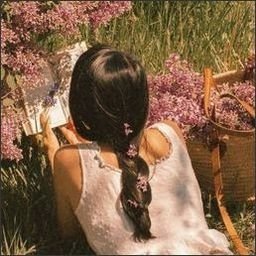 TheterezxV6D's profile picture. 