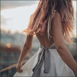 tioddeash8844's profile picture. 