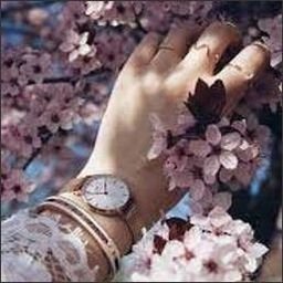 Deethore0o4dx1's profile picture. 