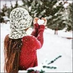 NoygrausQYK's profile picture. 