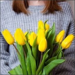 Soysmoh0nuZR's profile picture. 