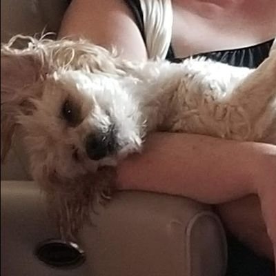 level1_amber's profile picture. A nerd employed by @tekwendell / @level1techs. QA/RMA Support, managing the @Level1Techs X page, and Oxford comma supporter of course.