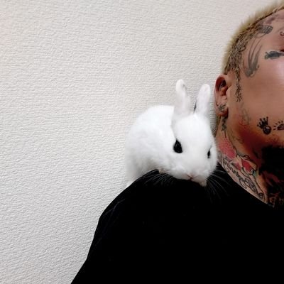 x8xx8xx8x's profile picture. TATTOO
神社巡り