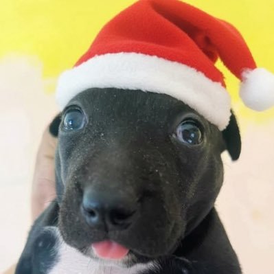 ergoprixy's profile picture. ❣️@giannco__