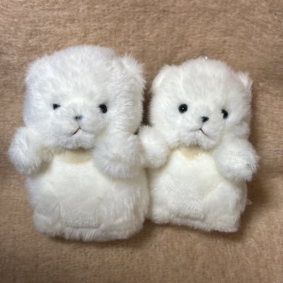 ししゃこめの日常🐻‍❄️