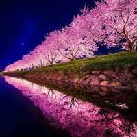 Kehlz (@kehlz4) 's Twitter Profile Photo