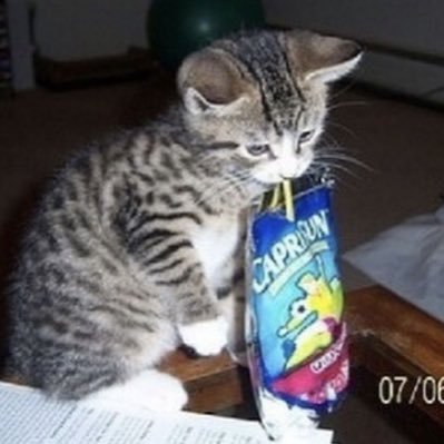 shadow5555198's profile picture. 