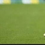 Nitin_singh3114's profile picture. CSE ’26 | Java | MERN  
DSA | LC 1680+ | 1100+ problems  
Software Engineer