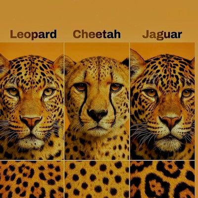 G6oIvHzCPq53266's profile picture. 