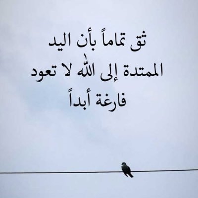 a_alsyaf's profile picture. 