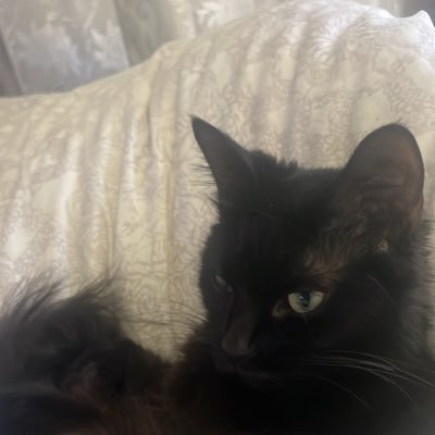 TheTraderSa's profile picture. investor and Father 
#Xrp #thetradersa recycling guru