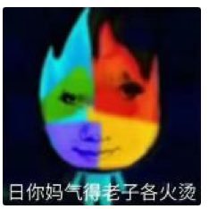 kutu1100's profile picture. 