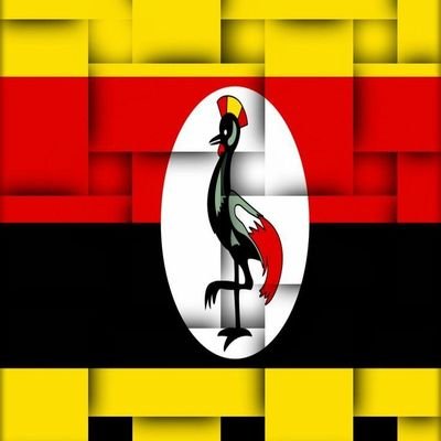 UTNN27's profile picture. 24uganda times news