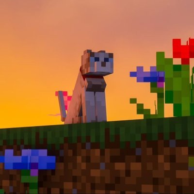 anchor_bird_'s profile picture. Passionate for creating and breaking things