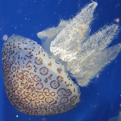 D57MLax9GR60802's profile picture. 