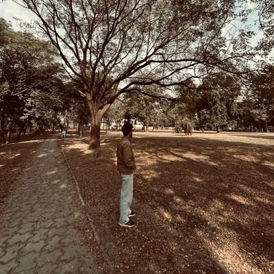 iamrohanjaswal's profile picture. Documenting my learning path  | Web Dev | Projects, code, and daily progress  | Let’s grow together