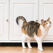 mercerknitt0908's profile picture. 