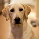 Shaun Alexander - @scalexander53 - Twitter