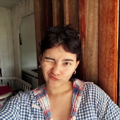 ltc95s's profile picture. de tudo um pouco e de nada também