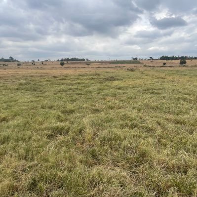 Explorer254_'s profile picture. Lets explore