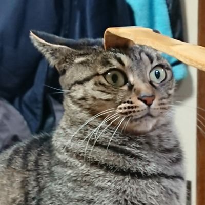 marumekun178065's profile picture. ２０２４年１０月告知…前立腺がん
５年後生存率60%！？