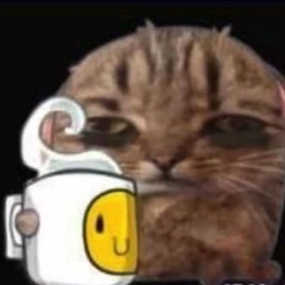 novioroboto's profile picture. hola, estoy loco y me voy a suicidar.