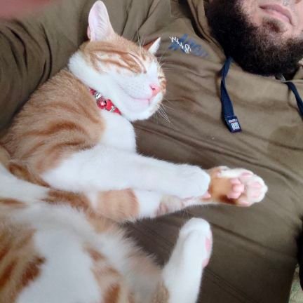 AKAH78's profile picture. 