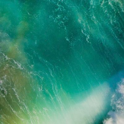 einkleinstein's profile picture. 好奇心は強いが脳みその中身が足りていない。人間か？