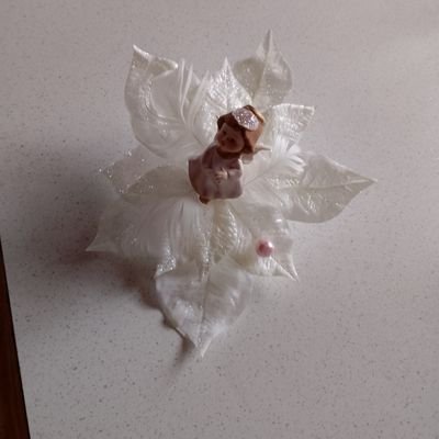 Sterntaler444's profile picture. 