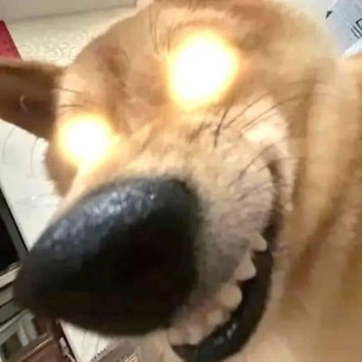 Samu254152's profile picture. fart