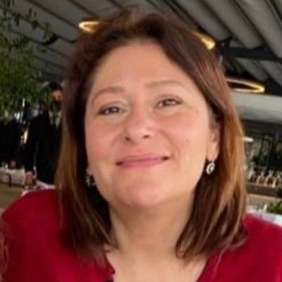sozsoy796's profile picture. CHP Parti Meclisi Üyesi, CAO Adalet Politika Kurulu Başkanı, Anayasa Hukuku Profesörü, Ph.D in law, Essex Uni 2003, İstanbul Hukuk 92, GSÜ HF Öğr. Üyesi