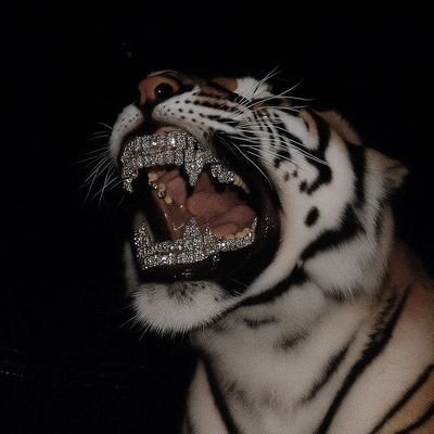 frzPH41's profile picture. 