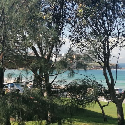 janette_jes's profile picture. 🌻