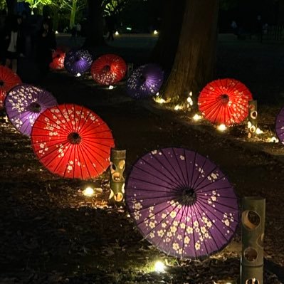 gaot0203's profile picture. 茨城県に住むラーメン好きのアカウントです  写真撮るの下手なのはご愛嬌で(´∀｀*)