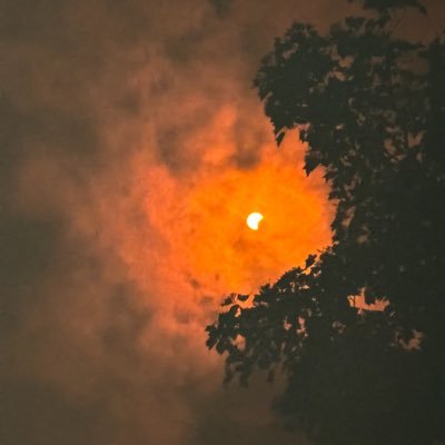 Talibandzx's profile picture. 