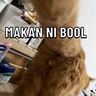 4llbymyself_'s profile picture. 