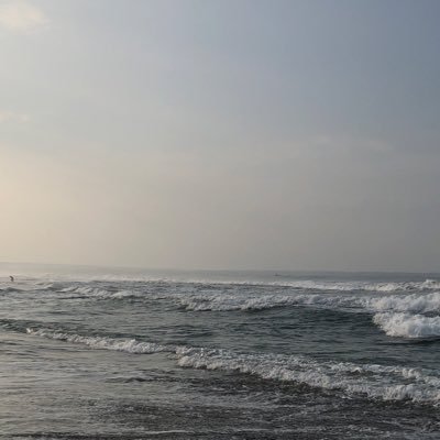 martabakindomi's profile picture. 