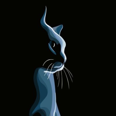 nachvhs's profile picture. 