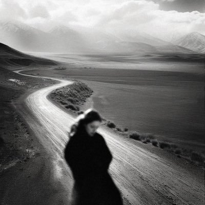 ppqnqn's profile picture. بين العقل والعاطفة