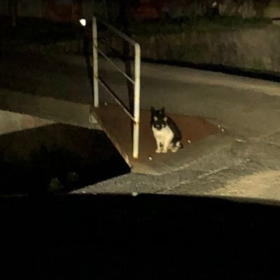 kingbboby27545's profile picture. 