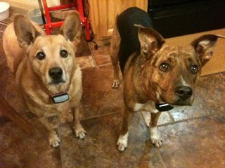 whitecap59's profile picture. 