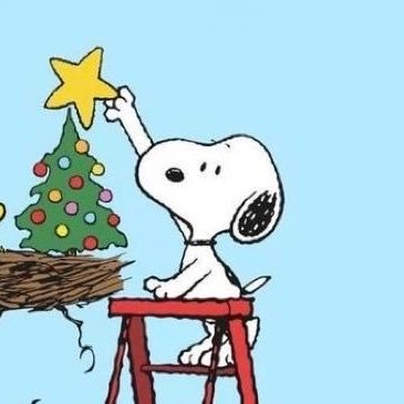 dev_shonn's profile picture. 주니어 백엔드 개발자 https://t.co/zAr2VxogEy 을 만들고있어요